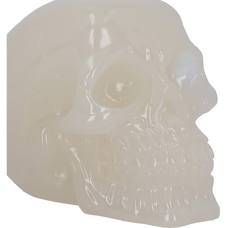 Amazon.com: Nemesis Now Phosphorescent Skull 8cm, Medium